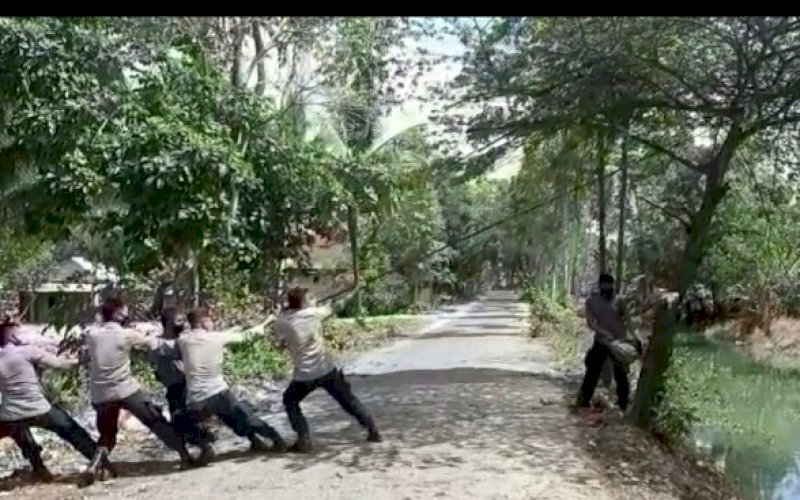 POTONG POHON. Personel SAR Batalyon C Pelopor Satbrimob Polda Sulsel melakukan penebangan terhadap dua pohon yang dianggap membahayakan warga sekitar dan pengguna jalan di Jl G Kinabalu, Kelurahan Macanang, Kecamatan Tanete Riattang, Kabupaten Bone, Rabu (26/8/2020). foto: istimewa