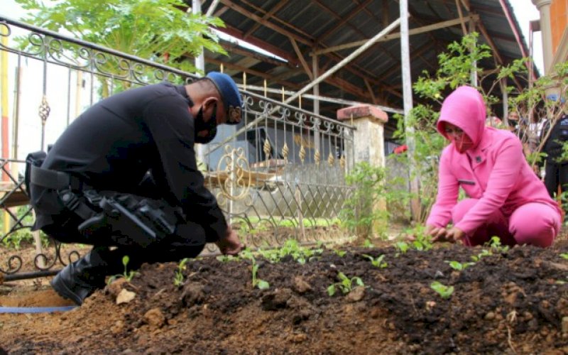 MENANAM. Personel Batalyon C Pelopor Satbrimob Polda Sulsel bersama Bhayangkari Ranting Yon C Pelopor melakukan penanaman bibit baru dan perawatan tanaman pada lahan-lahan kosong yang telah mereka garap selama ini di Mako Brimob Batalyon C Pelopor Jl MH Thamrin, Kota Watampone, Kabupaten Bone, Sabtu (19/9/2020). foto: istimewa