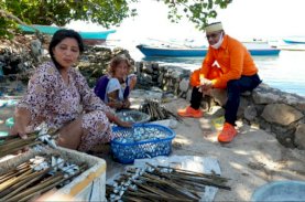 Lutfi Siapkan Solusi bagi Nelayan di Pangkep