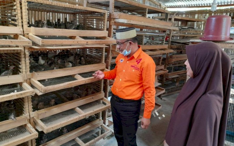 KUNJUNGAN. Calon Wakil Bupati Pangkep, Lutfi Hanafi mengunjungi peternakan burung puyuh milik Riska, di Kampung Lakaddaro, Kelurahan Ma'rang, Kecamatan Ma'rang, Rabu (21/10/2020). foto: istimewa