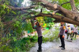 SAR Brimob Bone Evakuasi Pohon Tumbang di Jalan