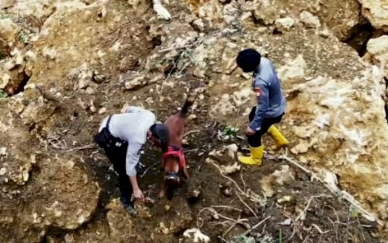 EVAKUASI. Personel Satbrimob Polda Sulsel berupaya mengevakuasi material longsor untuk penyelamatan warga yang terjebak longsor di Desa Mekatta, Kecamatan Malunda, Minggu (17/1/2021). foto: istimewa