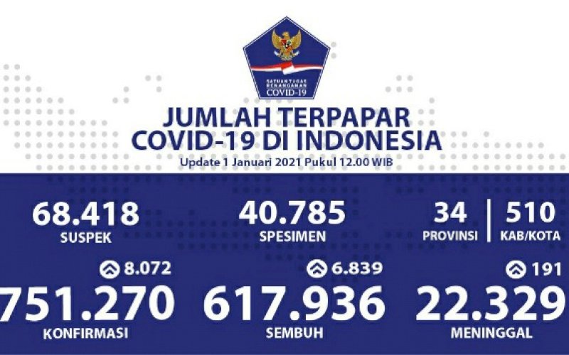 Data Covid-19 Indonesia. foto: istimewa