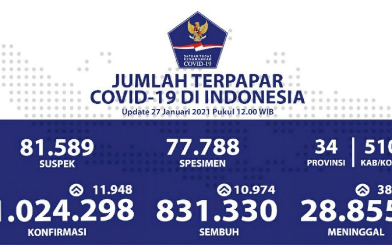 Data Covid-19 Indonesia. foto: istimewa