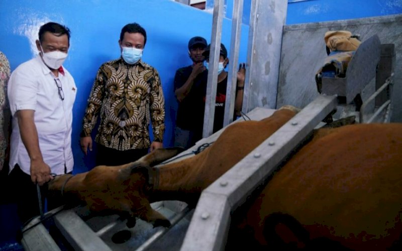 TINJAU RPH. Wakil Gubernur Sulsel, Andi Sudirman Sulaiman, meninjau langsung Rumah Potong Hewan (RPH) Antang, Kelurahan Tamangapa, Kecamatan Manggala, Kota Makassar, Jumat (5/2/2021). foto: humas pemprov sulsel