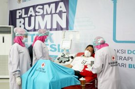 Kementerian BUMN Launching Plasma BUMN untuk Indonesia