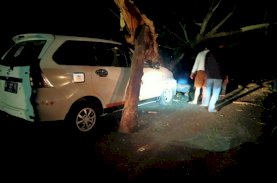 SAR Brimob Bone Gerak Cepat Evakuasi Pohon Tumbang di Jalan