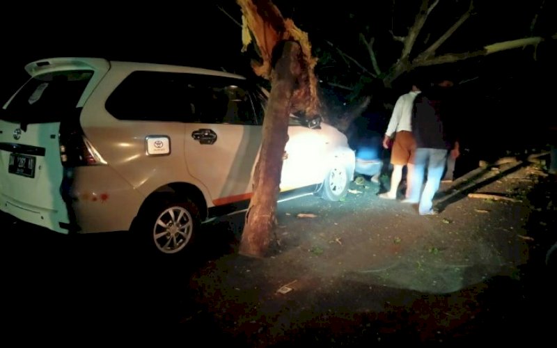 EVALUASI. Tim SAR Batalyon C Pelopor Satbrimob Polda Sulsel melakukan mengevakuasi pohon tumbang yang menimpa sebuah unit mobil di Jl Pramuka, Kelurahan TA, Kecamatan Tanete Riattang, Bone sekitar pukul 02.00 WITA, Rabu (24/2/2021). foto: humas brimob bone