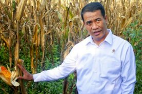 Kagum dengan Sosok Andi Amran Sulaiman, Adi Rasyid Ali: Beliau Mutiara dari Timur