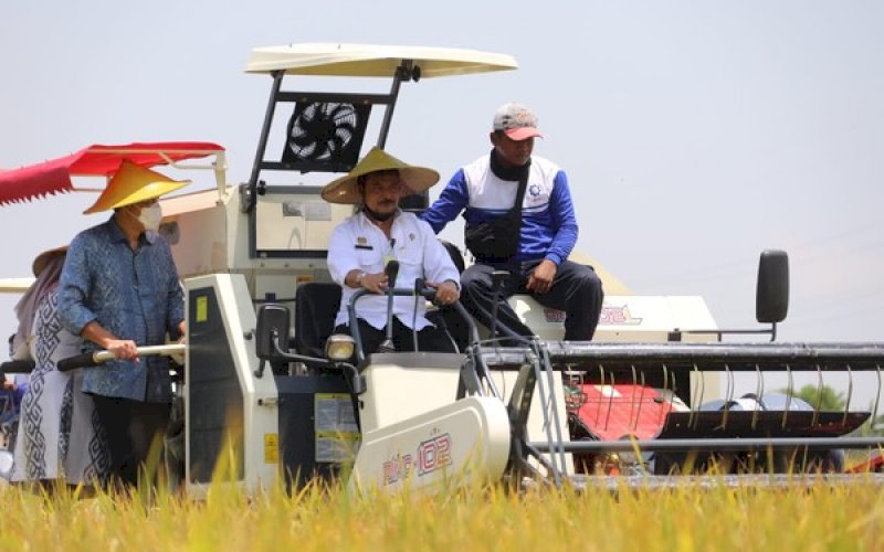 PANEN RAYA. Menteri Pertanian, Syahrul Yasin Limpo, saat panen raya padi di Gresik, Jawa Timur, Jumat (12/3/2021). foto: kementan