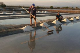 Dengar Rintihan Petani Garam, Warga Jeneponto: Andi Sudirman Berpihak ke Rakyat Kecil