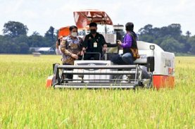 Mentan Panen Raya Padi di Maros