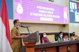 Plt Gubernur Sulsel Paparkan Pengembangan Pariwisata di Depan Komisi X DPR RI