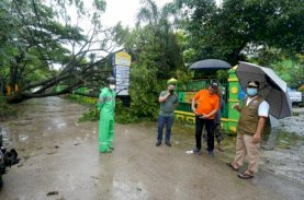 Hujan Deras dan Angin Kencang, Plt Gubernur Imbau Warga Agar Tetap Tenang