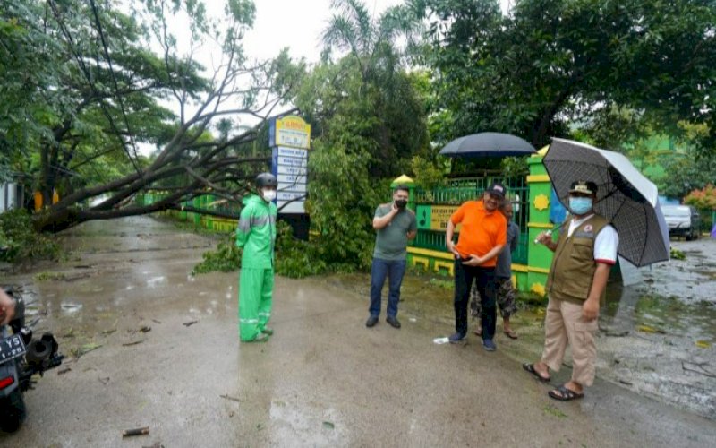PENINJAUAN. Plt Sulsel, Andi Sudirman Sulaiman (kanan), memantau situasi adanya pohon tumbang dampak hujan deras dan angin kencang, Jumat, (2/42021). foto: humas pemprov sulsel