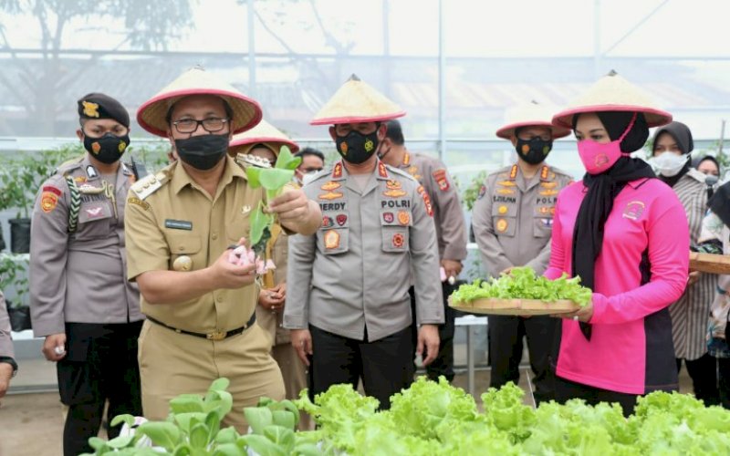 PANEN PERDANA. Wali Kota Makassar Moh Ramdhan Pomanto bersama Kapolda Sulsel Irjen Pol Merdisyam panen perdana di Rumah Bibit Kelompok Tani Anging Mammiri Bhayangkari di area Asrama Polisi Toddopuli, Makassar, Senin (5/4/2021). foto: humas pemkot makassar
