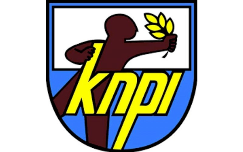 Logo KNPI. foto: ilustrasi
