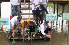 Danny Pomanto Ikut Aksi Tanan Mangrove di Lantebung