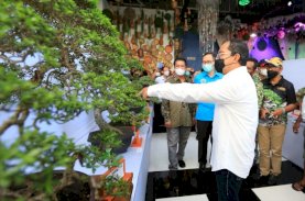 Bonsai Bisa Penopang Makassar Sebagai Kota Dunia