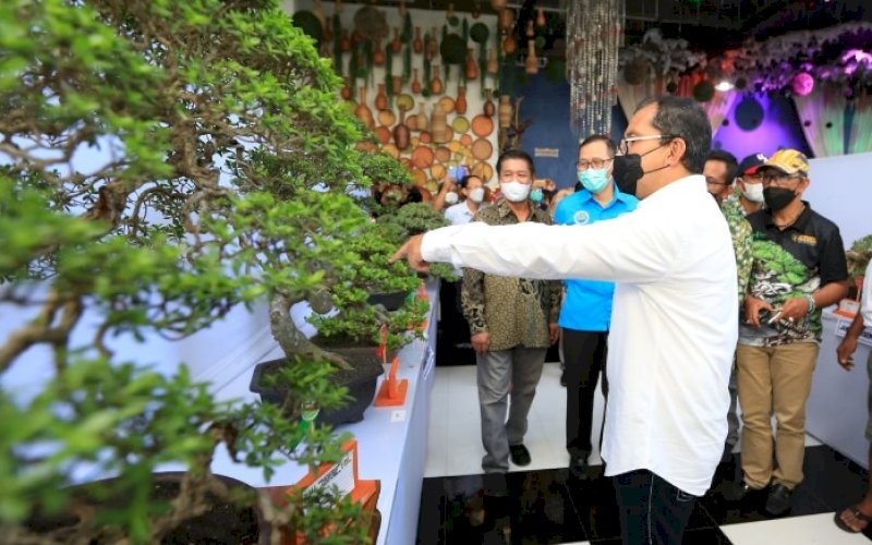 PAMERAN BONSAI. Wali Kota Makassar, Moh Ramdhan Pomanto, menyaksikan keindahan salah satu bonsai yang dipamerkan dalam pameran dan kontes bonsai nasional yang diadakan PPBI di Jl Gontang Raya, Kota Makassar, Jumat (28/5/2021). foto: humas pemkot makassar