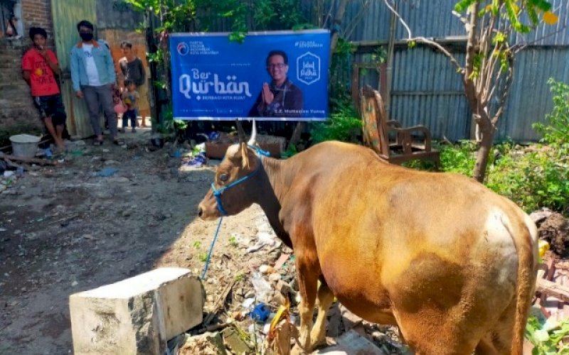 BERKURBAN. Partai Gelora Makassar telah melaksanakan kegiatan pemotongan hewan kurban di Hari Raya Iduladha 1442 H jatuh pada Selasa (20/7/2021). foto: istimewa