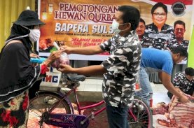 Bapera Sulsel Salurkan Daging Kurban