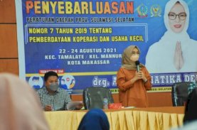 Pemprov Sulsel Dorong Pembentukan Koperasi dan UMKM
