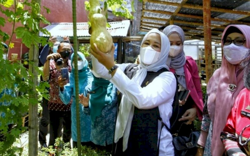 LOMBA UMKM. Wakil Wali Kota Makassar, Fatmawati Rusdi, menghadir lomba UMKM Lorong yang diadakan di Kelurahan Mallimongan, Kecamatan Wajo, Kota Makassar, Kamis (30/9/2021). foto: istimewa