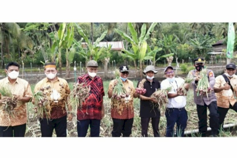 PENANAMAN BAWANG. Bejo Indonesia memperkenalkan teknologi baru penanaman bawang dari biji atau dikenal dengan TSS (True Shallot Seed) kepada Pemkab Soppeng. foto: istimewa