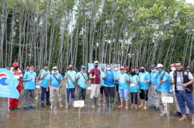 Bupati: Terima Kasih Gelora Bantu Hijaukan Sinjai