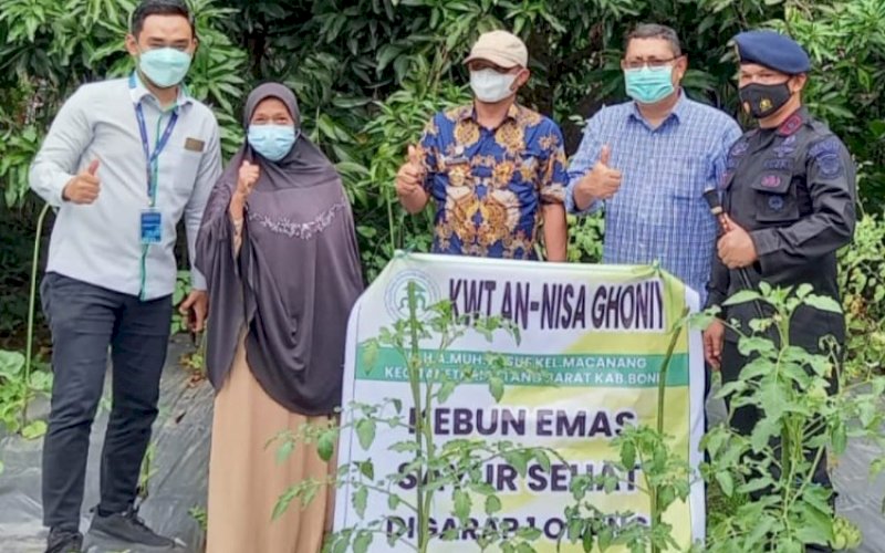 PEKARANGAN EMAS. Dinas Ketahanan Pangan Kabupaten Bone menggandeng PT Pegadaian Cabang Watampone menggagas program 'Pekarangan Emas'. foto: istimewa 