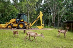 Vale Berhasil Meraih Proper Hijau