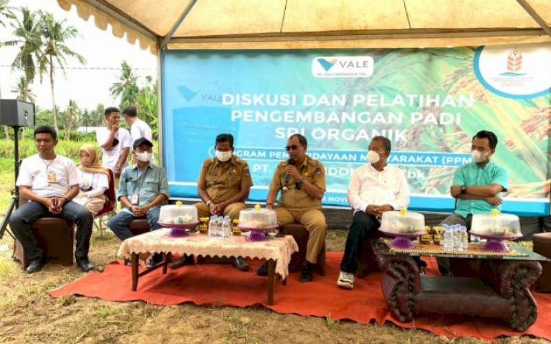 PELATIHAN. PT Vale Indonesia Tbk (PT Vale) melaksanakan pelatihan dan diskusi Padi SRI organik di Desa Puubunga, Kabupaten Kolaka, Provinsi Sulawesi Tenggara, 2 November 2021 lalu. foto: istimewa