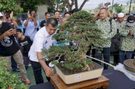 Makassar Juara Umum Daerah Pameran Bonsai Bulukumba