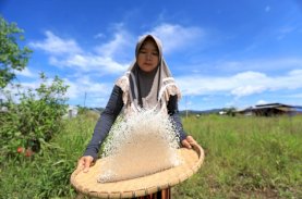 Vale Konsisten Dorong Pertanian SRI Organik di Area Pemberdayaan