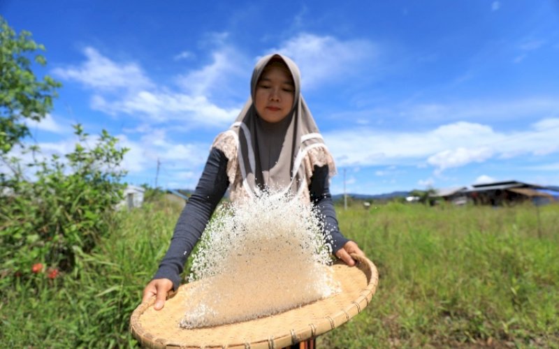 PEMBERDAYAAN. PT Vale konsisten dalam membina dan mendampingi petani di area pemberdayaan. foto: istimewa