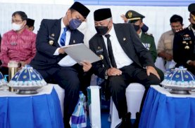 Plt Gubernur Sulsel Dorong Penguatan Pertanian dan Perikanan Pinrang