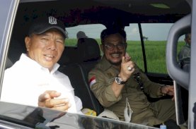 Selain Padi, Mentan Dorong Komoditas Kelapa dan Kopi Bulukumba