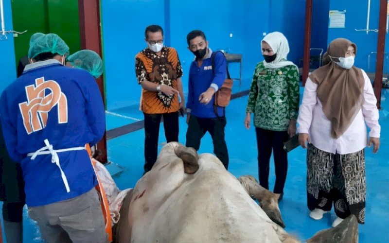 PEMOTONGAN SAPI. Penjabat Direksi PD RPH Kota Makassar Syafrullah (ketiga kanan) memberikan penjelasan kepada Kepala Dinas Perikanan dan Pertanian Kota Makassar Evy Aprialti pada pemotongan perdana Sapi Brahman Cross di RPH Antang/Manggala, Kota Makassar, Jumat (18/2/2022) pagi. foto: istimewa 