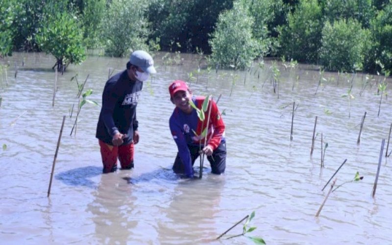 TANAM MANGROVE. Ketua IKA SMAN 6 Makassar, Rudianto Lallo (kanan), bersama para alumni menanam mangrove di Desa Wisata, Kelurahan Untia, Kecamatan Biringkanaya, Kota Makassar, Sabtu (25/3/2022). foto: istimewa