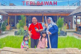 Libur Lebaran, Tepi Sawah Sidrap Diserbu Pengunjung