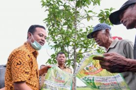 Bupati Bulukumba dan Gubernur Sulsel Tinjau Sawah yang Tanam Mandiri Benih