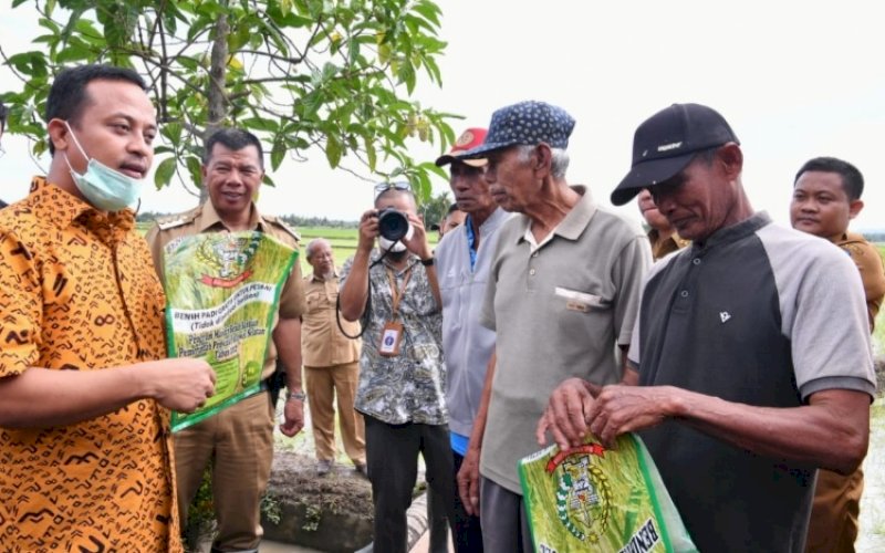BERSAMA PETANI. Bupati Bulukumba Andi Muchtar Ali Yusuf mendampingi Gubernur Sulsel Andi Sudirman Sulaiman berdiskusi dengan petani saat melakukan peninjauan pada lahan persawahan yang menggunakan benih Program Mandiri Benih di Dusun Polewali, Desa Salemba, Kecamatan Ujung Loe, Kabupaten Bulukumba, Senin (13/6/2022). foto: istimewa