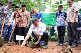 Andi Utta Harap Bulukumba Jadi Penghasil Jambu Mete Kualitas Ekspor