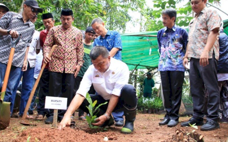 PENANAMAN. Bupati Bulukumba, Andi Muchtar Ali Yusuf, melakukan penanaman perdana bibit jambu mete di Desa Tamalanrea, Kecamatan Bontotiro, Bulukumba, Kamis (9/6/2022). foto: istimewa