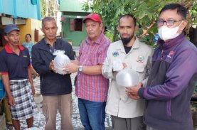 Pemprov Sulsel Target Kembalikan Kejayaan Udang Sitto