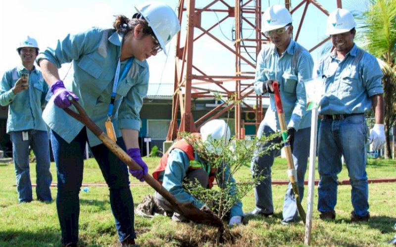 TANAM POHON. Presiden Direktur PT Vale Indonesia Tbk, Febriany Eddy, menanam pohon sebagai bentuk dukungan PT Vale Indonesia dalam rehabilitasi hutan dan lahan serta kepedulian terhadap lingkungan sekitar. foto: istimewa