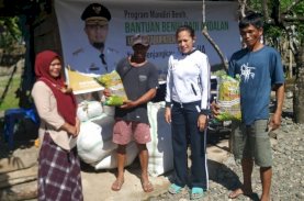 Pemprov Sulsel Salurkan Mandiri Benih untuk 1.000 Hektare Lahan di Luwu