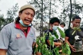 Sulsel Hattrick Raih Kalpataru, Kali Ini dari Toraja Utara