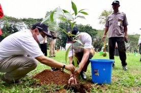 Gubernur Dampingi Menteri PMK Sukseskan Penanaman 10 Juta Pohon di Sulsel